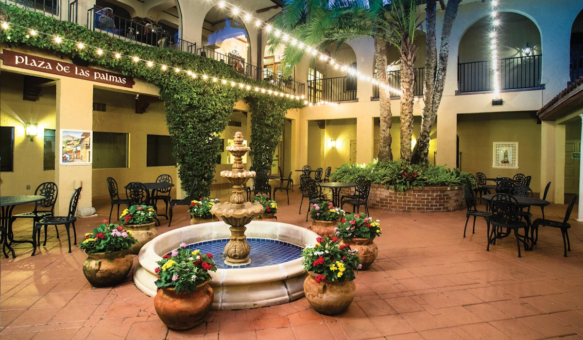 Plaza de las palmas Plaza de las palmas